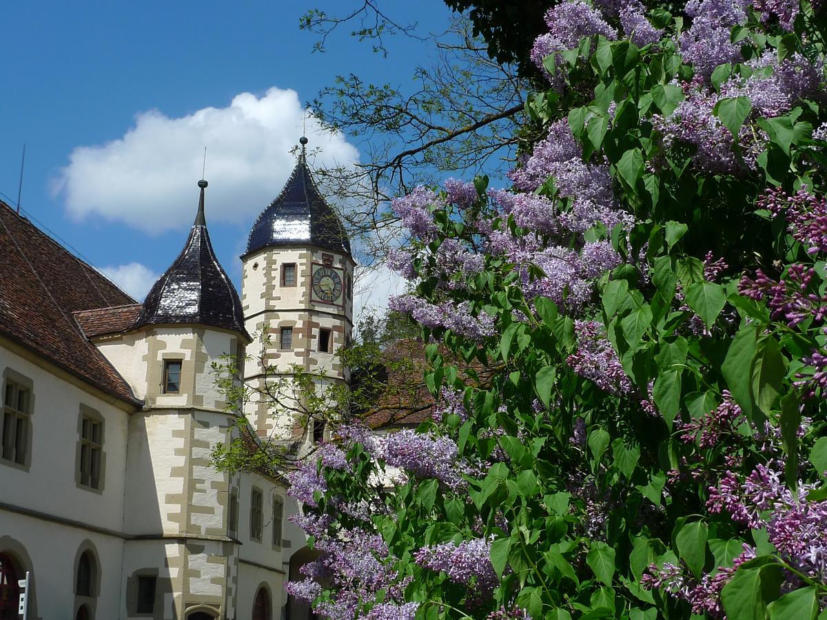 Schloss Haigerloch Екстер'єр фото