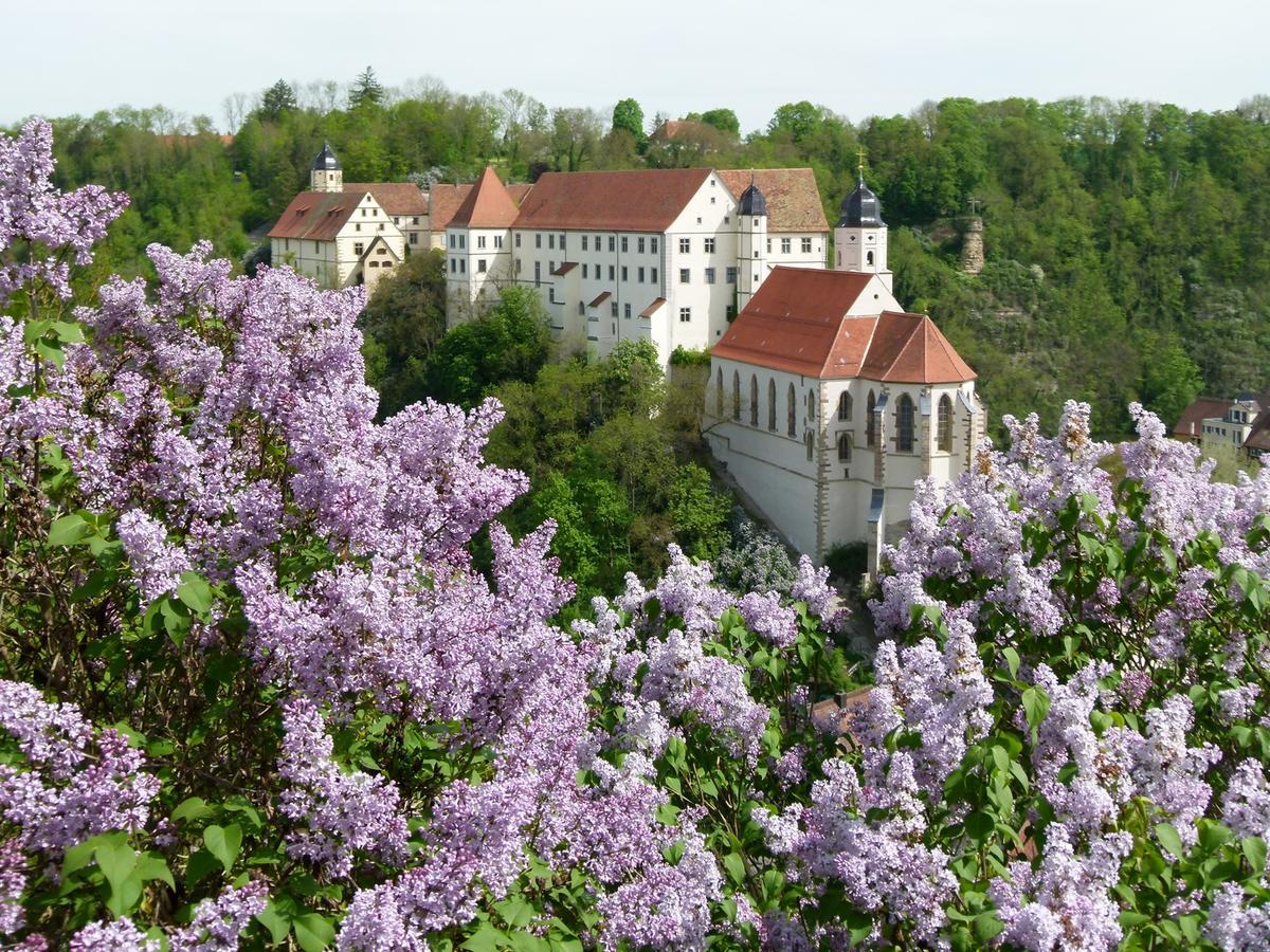 Schloss Haigerloch Екстер'єр фото